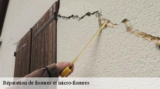 Réparation de fissures et micro-fissures  40500