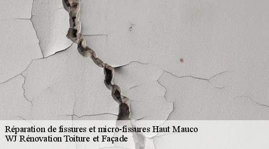 Réparation de fissures et micro-fissures haut-mauco-40280 WJ Rénovation Toiture et Façade
