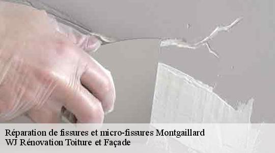 Réparation de fissures et micro-fissures  40500