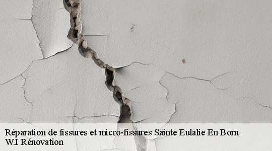 Réparation de fissures et micro-fissures  sainte-eulalie-en-born-40200 W.I Rénovation