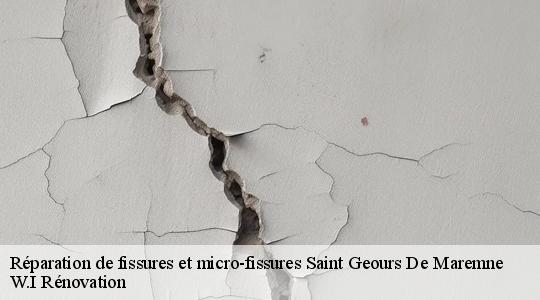 Réparation de fissures et micro-fissures  saint-geours-de-maremne-40230 W.I Rénovation