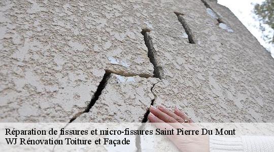 Réparation de fissures et micro-fissures 40280