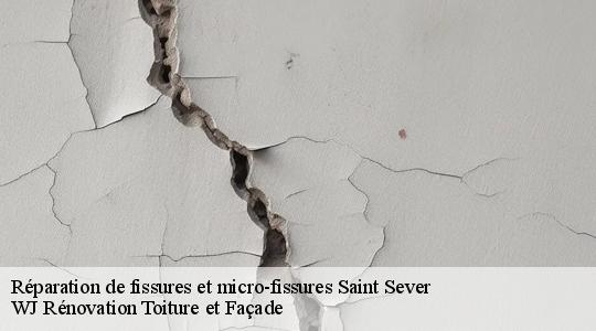 Réparation de fissures et micro-fissures saint-sever-40500 WJ Rénovation Toiture et Façade