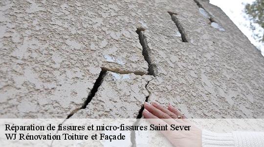 Réparation de fissures et micro-fissures 40500