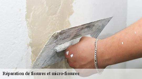 Réparation de fissures et micro-fissures 40500