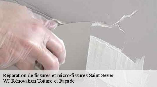 Réparation de fissures et micro-fissures 40500