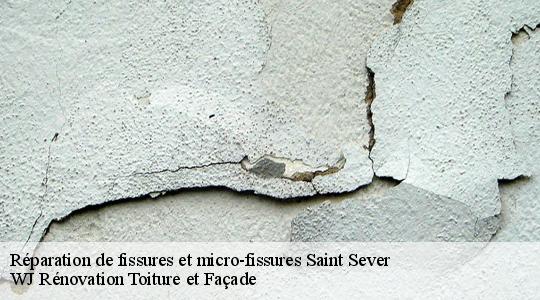 Réparation de fissures et micro-fissures 40500