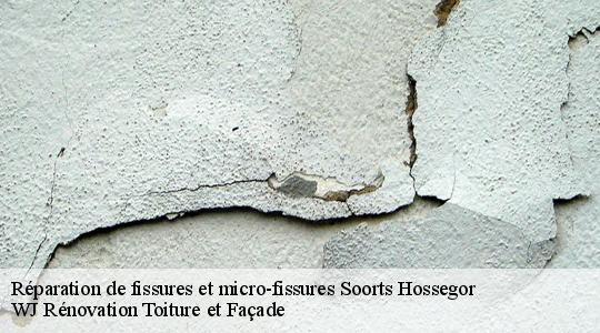 Réparation de fissures et micro-fissures  40150