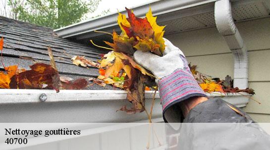 Nettoyage gouttières 40700
