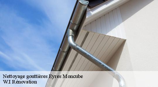 Nettoyage gouttières  40500