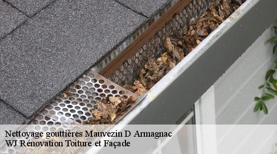 Nettoyage gouttières mauvezin-d-armagnac-40240 WJ Rénovation Toiture et Façade