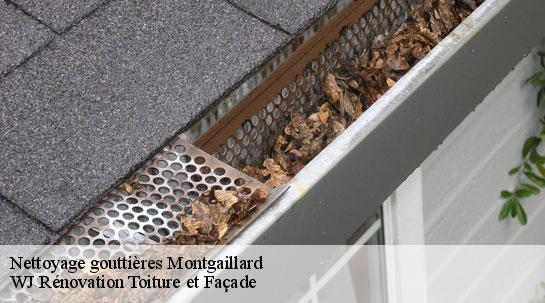 Nettoyage gouttières  montgaillard-40500 WJ Rénovation Toiture et Façade