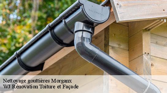 Nettoyage gouttières 40700