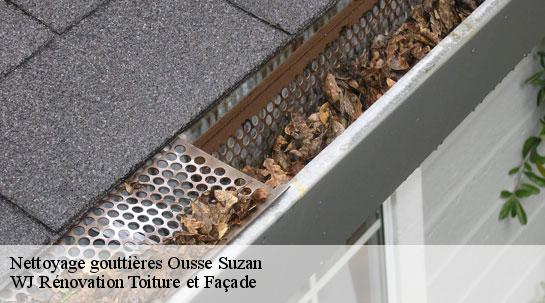 Nettoyage gouttières ousse-suzan-40110 WJ Rénovation Toiture et Façade