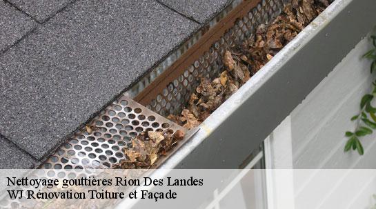 Nettoyage gouttières  rion-des-landes-40370 WJ Rénovation Toiture et Façade