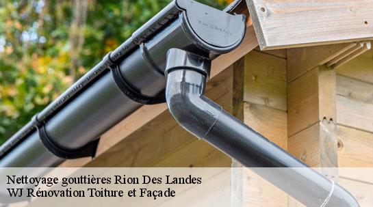 Nettoyage gouttières  40370