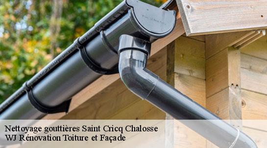 Nettoyage gouttières 40700