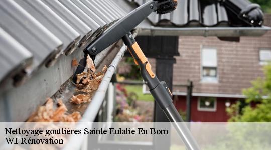 Nettoyage gouttières  sainte-eulalie-en-born-40200 W.I Rénovation