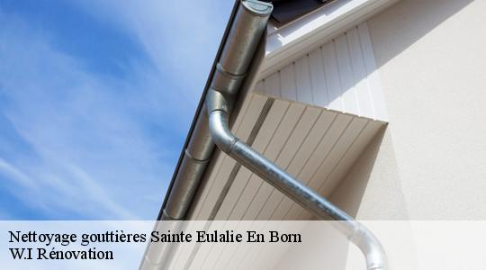Nettoyage gouttières  40200