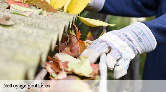 Nettoyage gouttières  40200