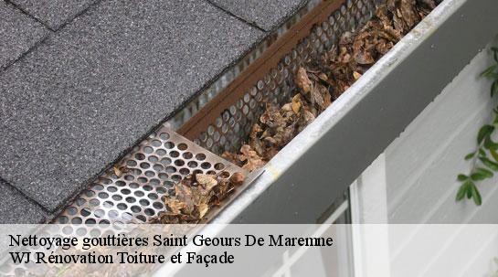 Nettoyage gouttières saint-geours-de-maremne-40230 WJ Rénovation Toiture et Façade
