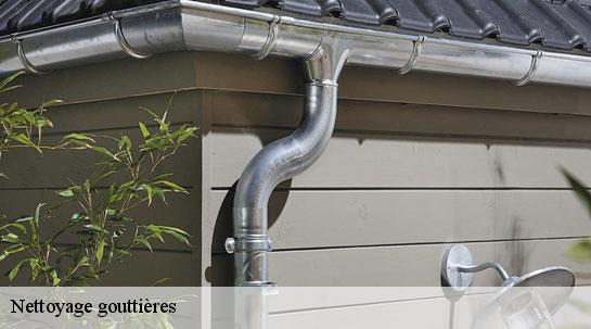 Nettoyage gouttières  40180