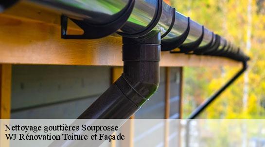 Nettoyage gouttières 40250