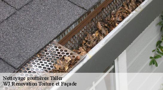 Nettoyage gouttières  taller-40260 WJ Rénovation Toiture et Façade