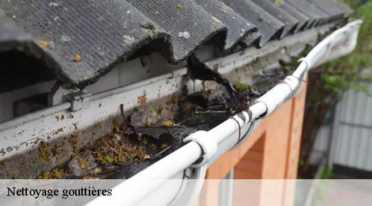 Nettoyage gouttières  40990
