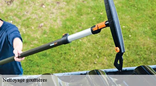 Nettoyage gouttières  40990