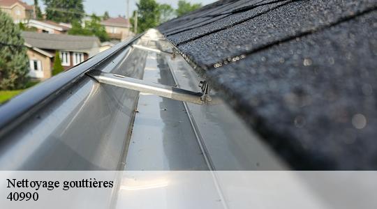 Nettoyage gouttières  40990