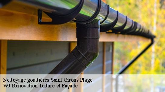 Nettoyage gouttières 40560