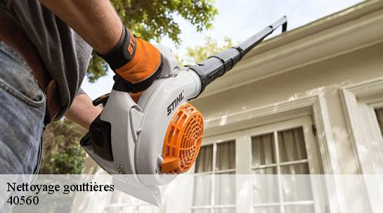 Nettoyage gouttières 40560