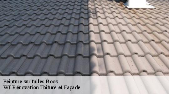 Peinture sur tuiles  40370