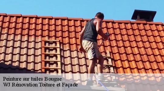 Peinture sur tuiles  40090