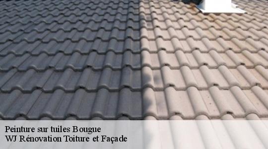 Peinture sur tuiles  40090