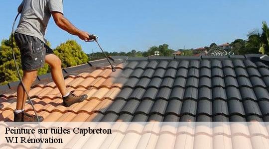 Peinture sur tuiles  capbreton-40130 W.I Rénovation