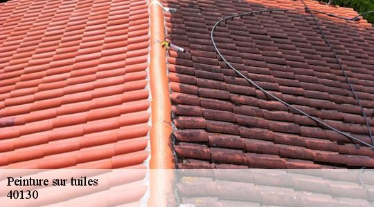 Peinture sur tuiles  40130