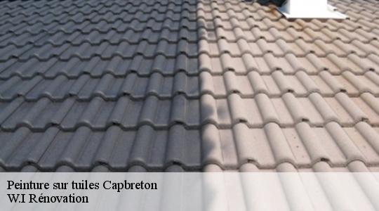 Peinture sur tuiles  40130