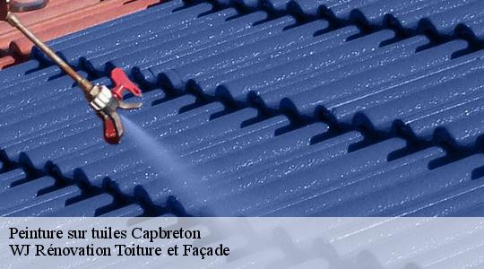 Peinture sur tuiles 40130