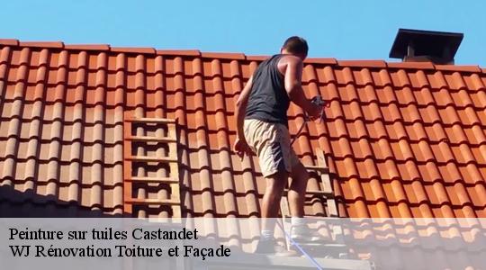 Peinture sur tuiles 40270