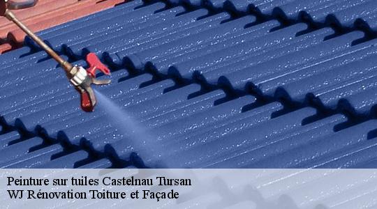 Peinture sur tuiles  40320