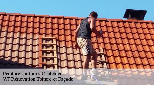 Peinture sur tuiles 40700