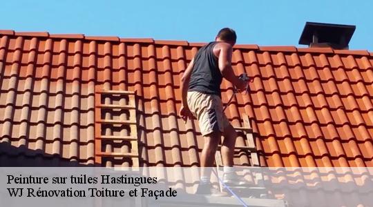 Peinture sur tuiles 40300