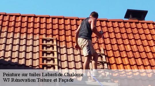 Peinture sur tuiles  40700