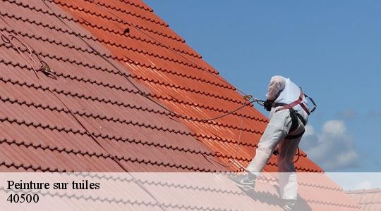 Peinture sur tuiles  40500