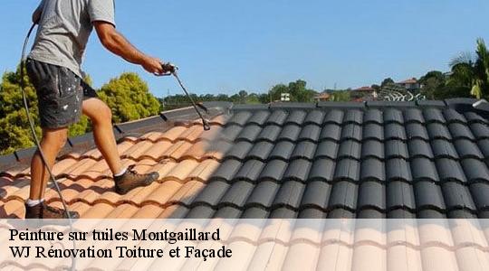 Peinture sur tuiles  montgaillard-40500 WJ Rénovation Toiture et Façade