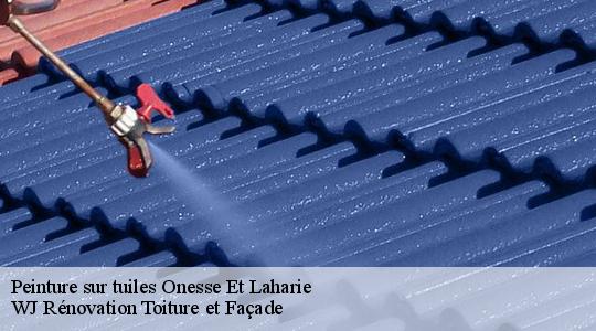 Peinture sur tuiles 40110