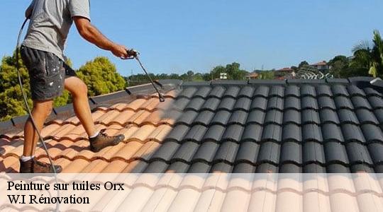 Peinture sur tuiles  orx-40230 W.I Rénovation