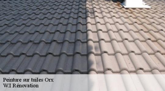 Peinture sur tuiles  40230